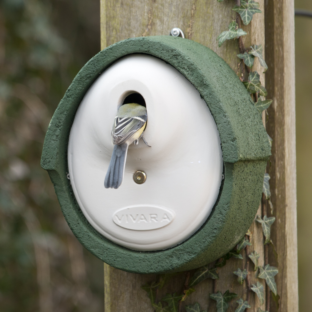 WoodStone® Alicante 32mm Oval Hole Nest Box (Green)