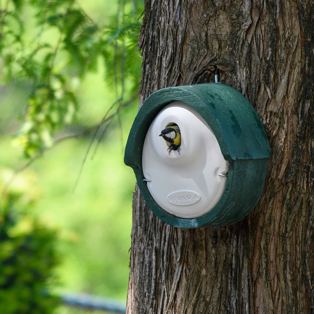 WoodStone® Alicante 32mm Oval Hole Nest Box (Green)