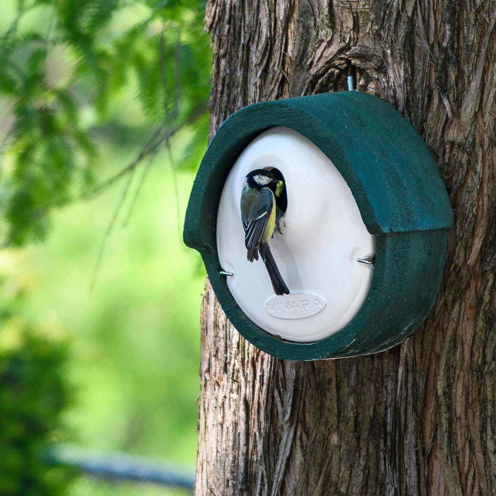 WoodStone® Alicante 32mm Oval Hole Nest Box (Green)