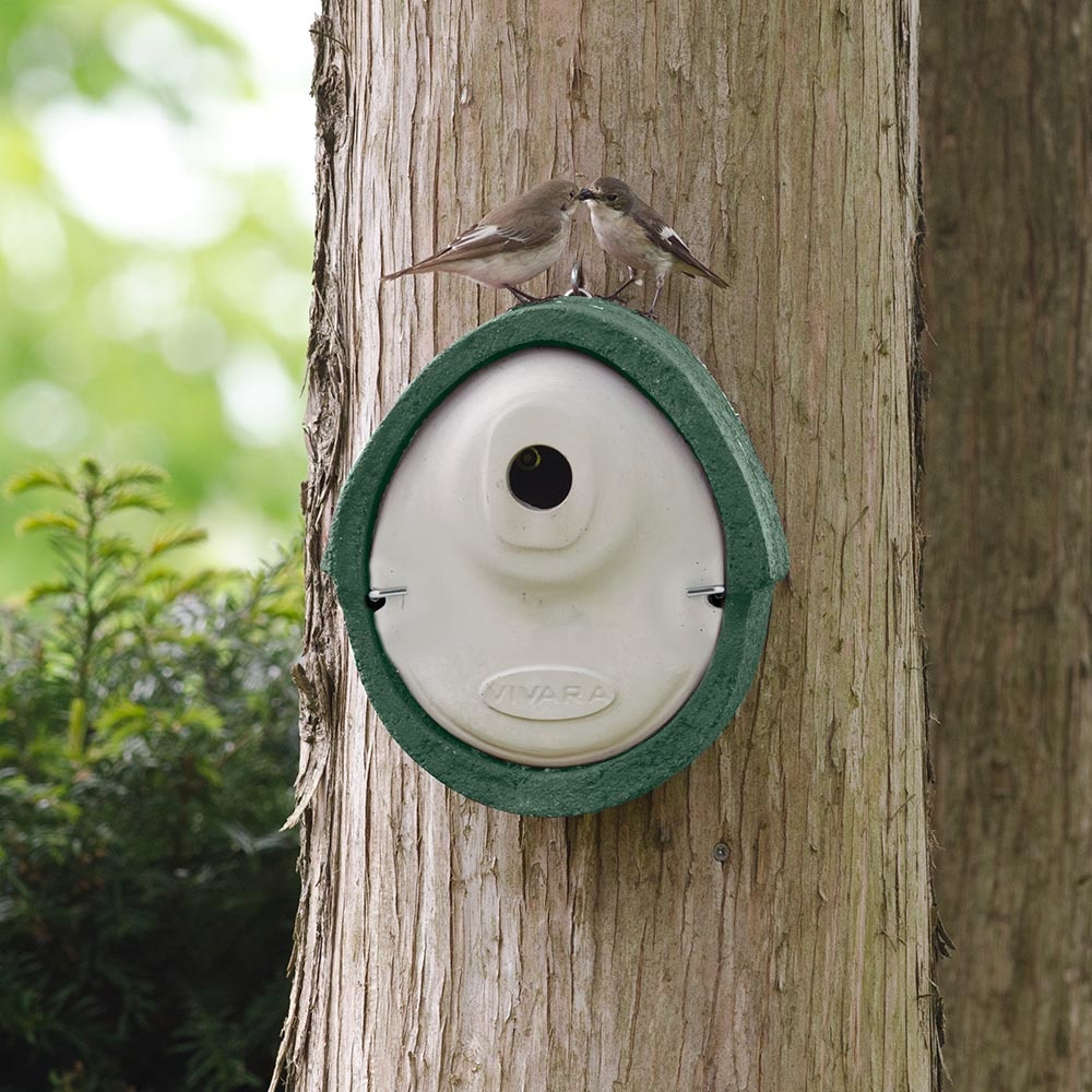 WoodStone® Alicante 32mm Oval Hole Nest Box (Green)