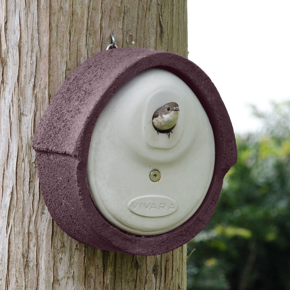 WoodStone® Alicante 32mm Nest Box (Brown)