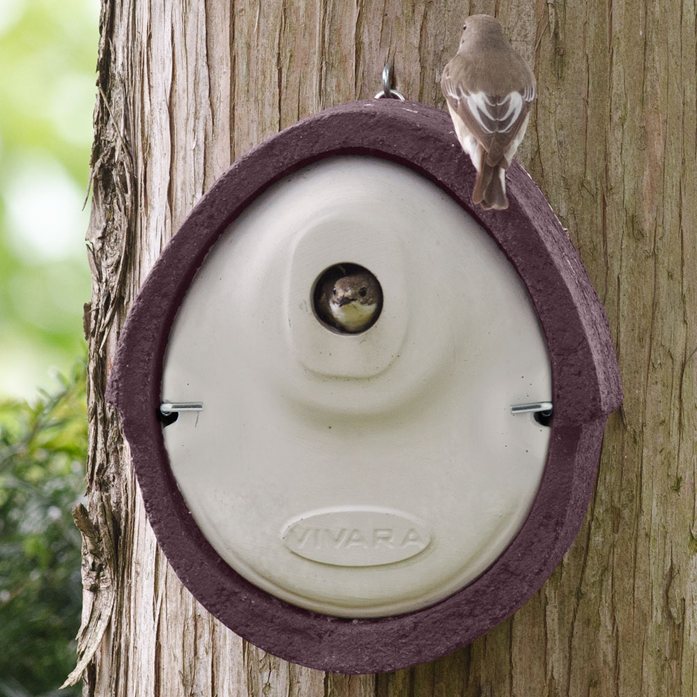 WoodStone® Alicante 32mm Nest Box (Brown)