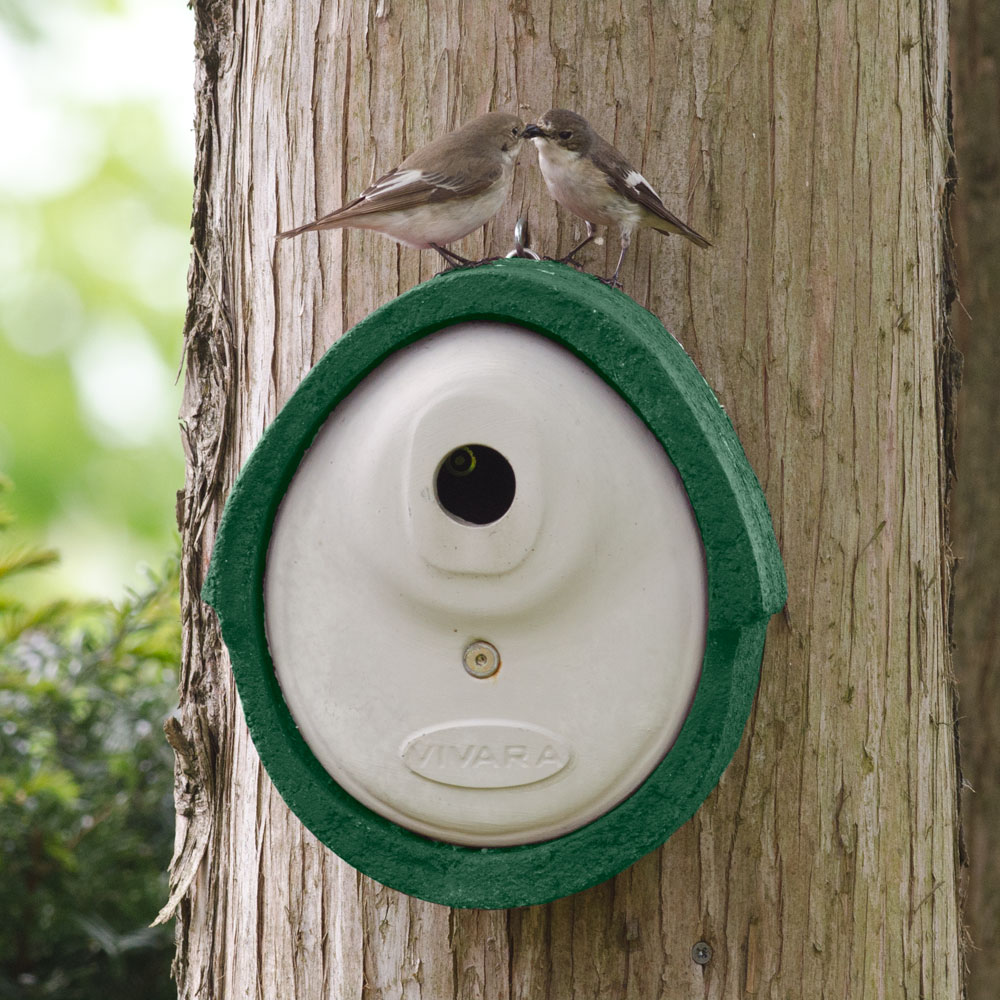 WoodStone®  Alicante 32mm Nest Box (Green)