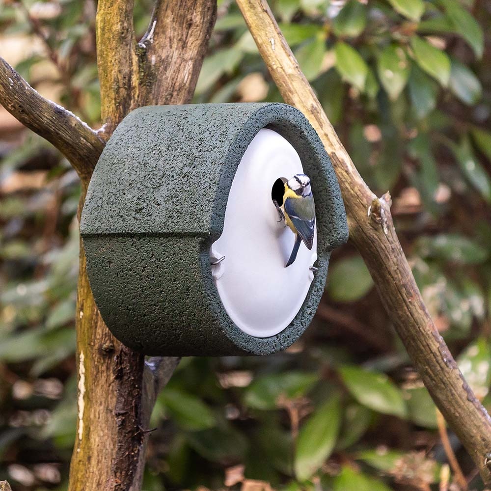 WoodStone®  Alicante 32mm Nest Box (Green)