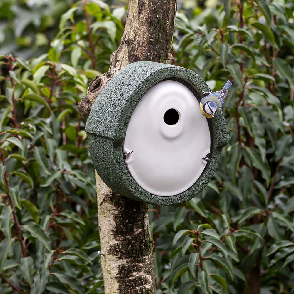 WoodStone®  Alicante 32mm Nest Box (Green)