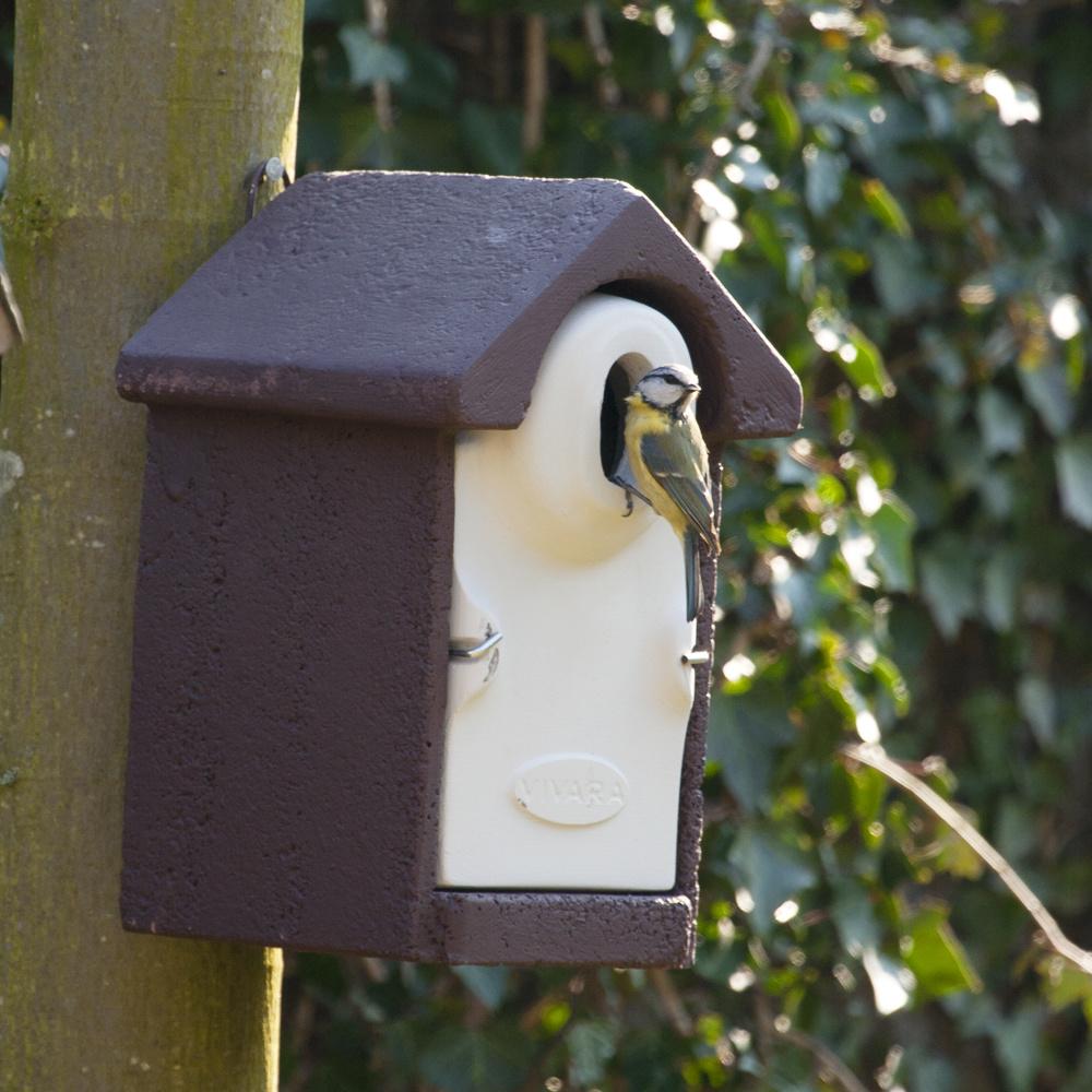 WoodStone® Seville 32mm Oval Hole Nest Box (Brown)