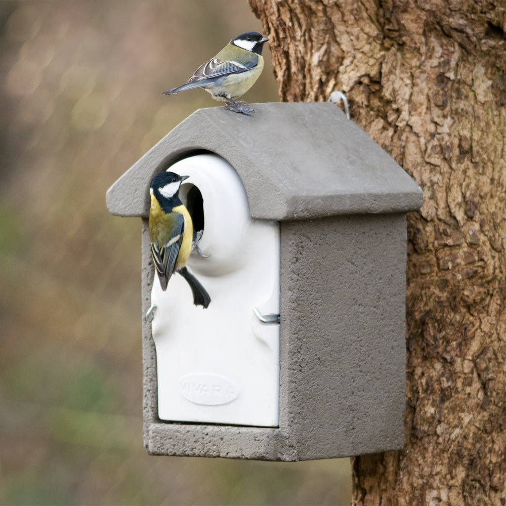 WoodStone® Seville 32mm Oval Hole Nest Box (Grey)