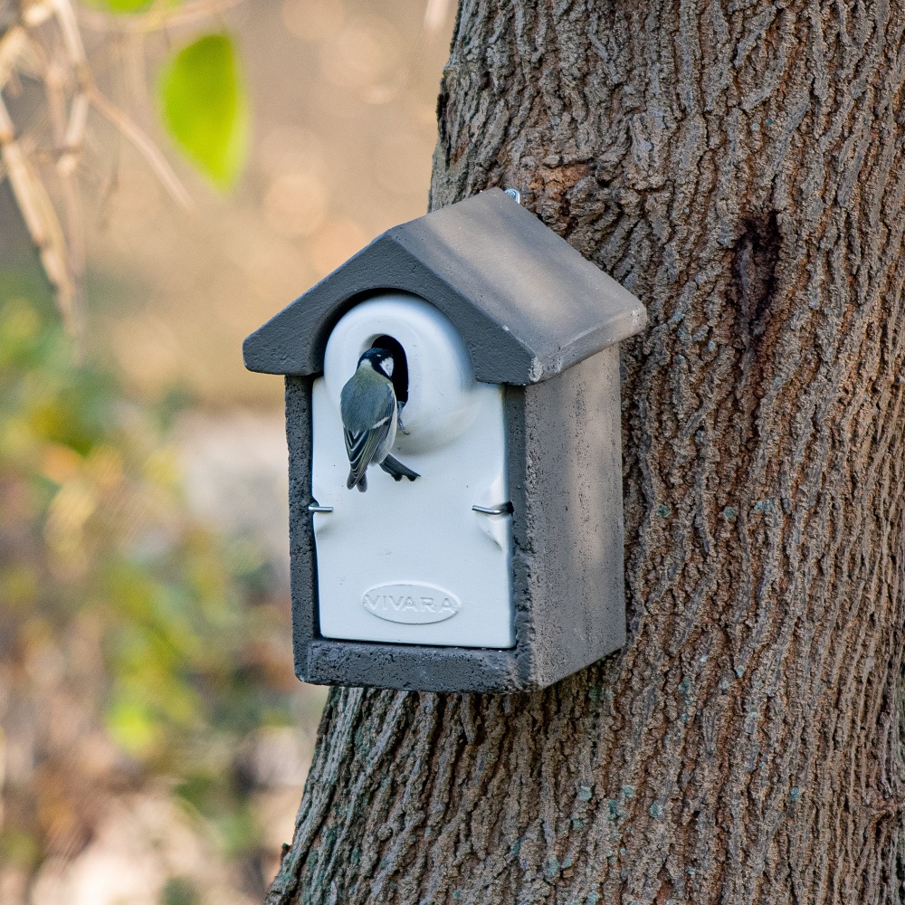 WoodStone Seville 32mm Oval Hole Nest Box - Grey