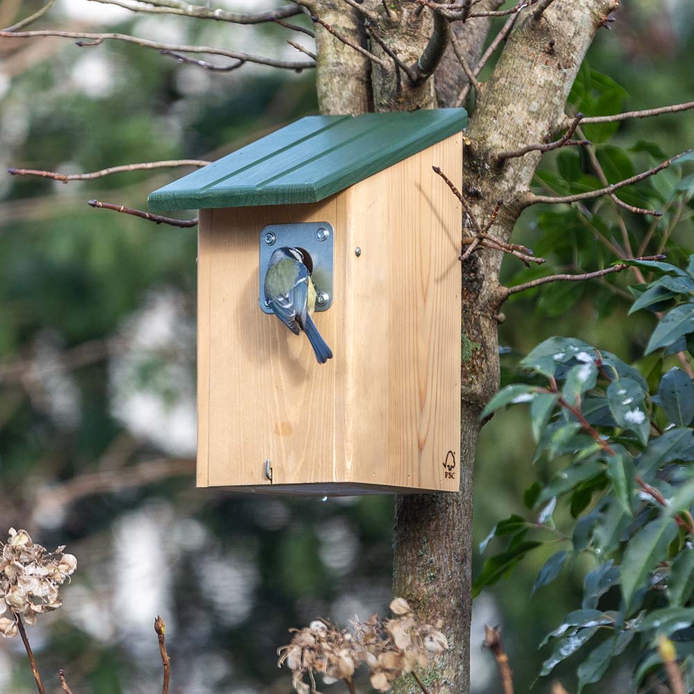 Seattle Predator Protection 32mm Nest Box