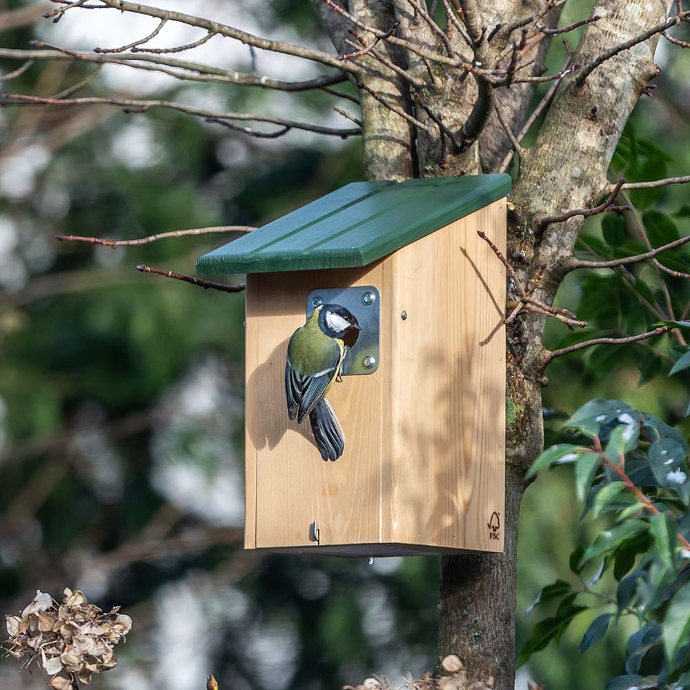 Seattle Predator Protection 32mm Nest Box