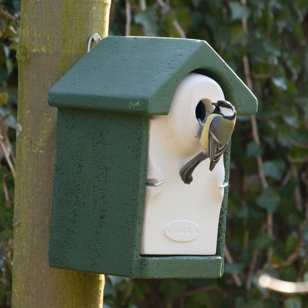 WoodStone® Seville 32mm Nest Box (Green)