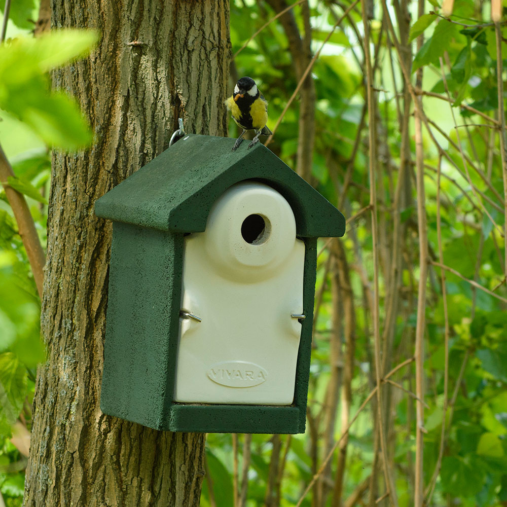 WoodStone® Seville 32mm Nest Box (Green)