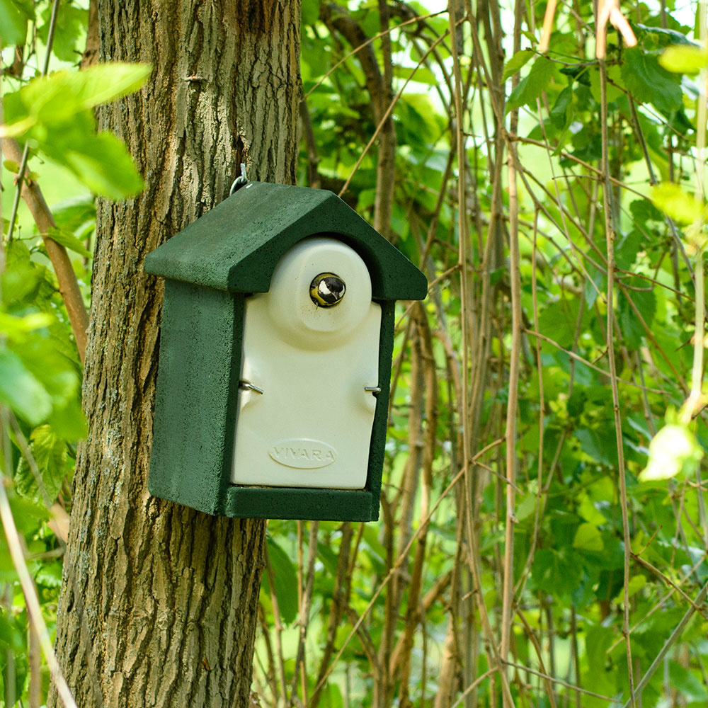 WoodStone® Seville 32mm Nest Box (Green)