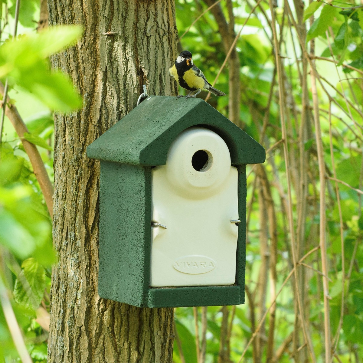 WoodStone® Seville 32mm Nest Box (Green)