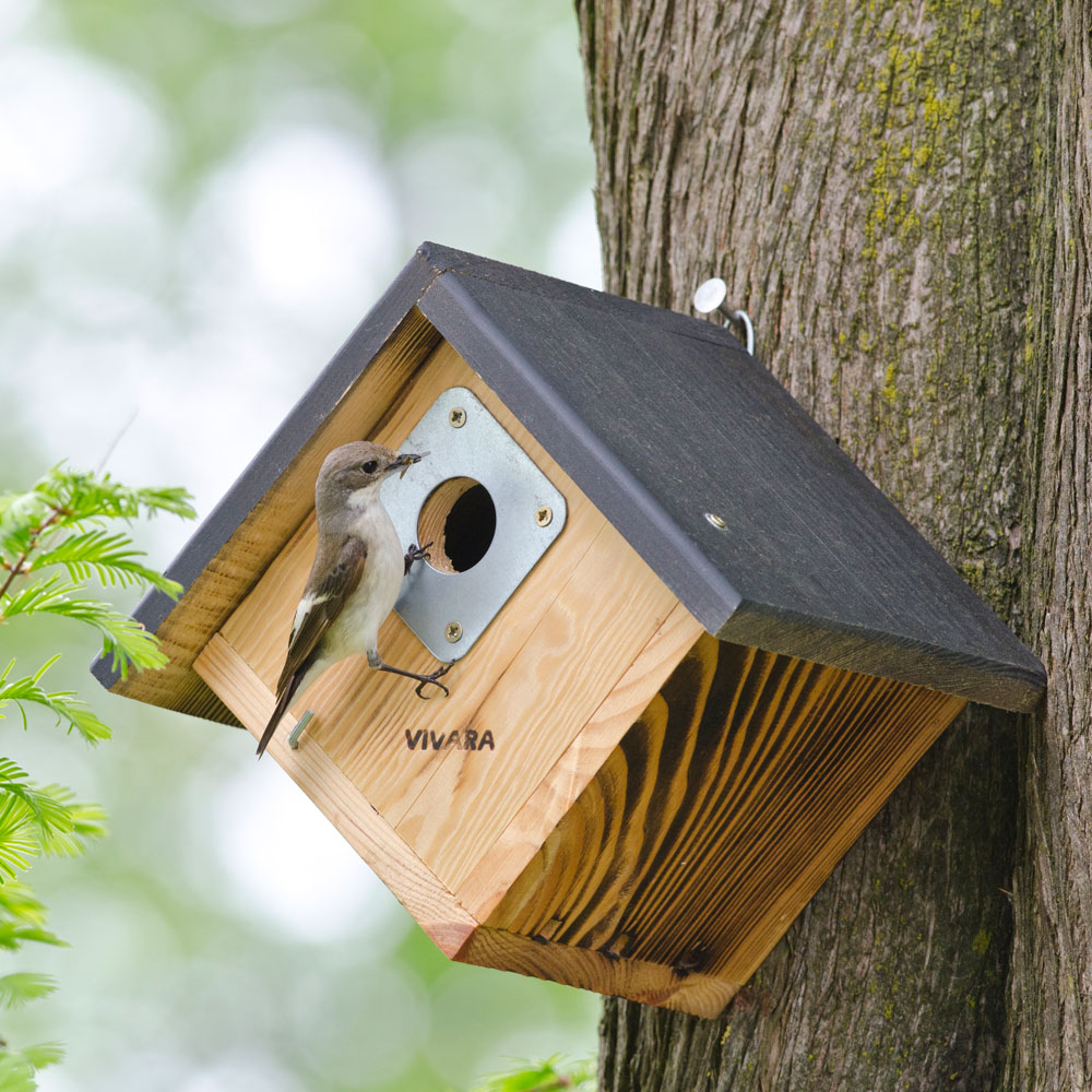 Alamo 32mm Nest Box