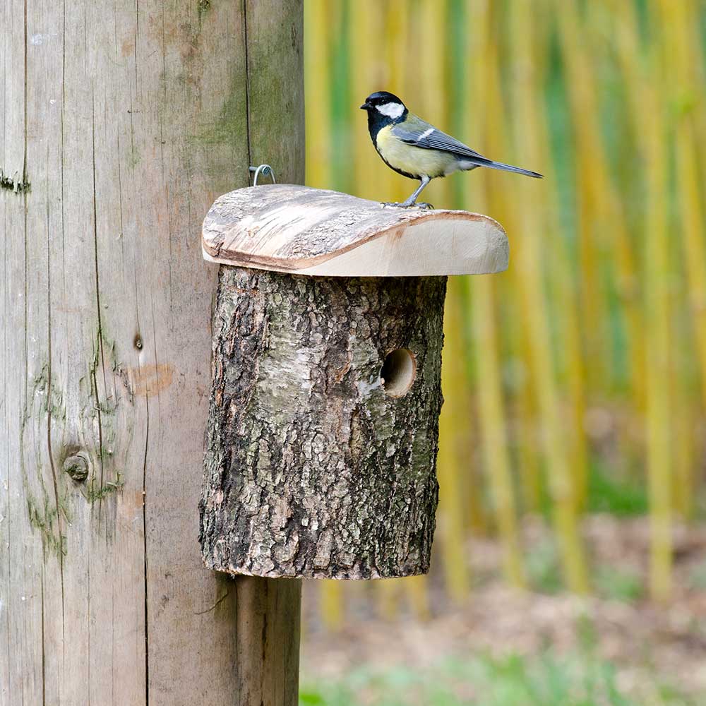 Stockholm 32mm Nest Box 