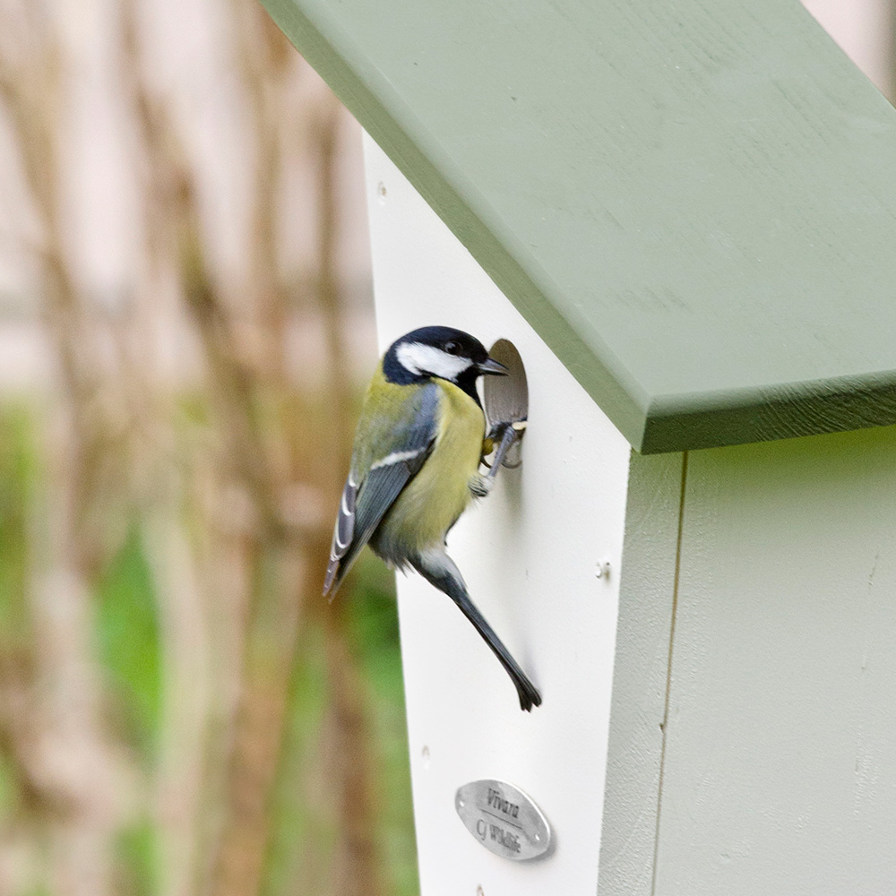 Lausanne 32mm Nest Box