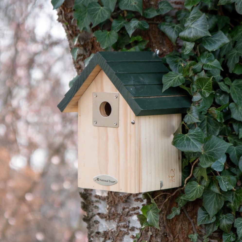 National Trust Vail Larch 32mm Nest Box