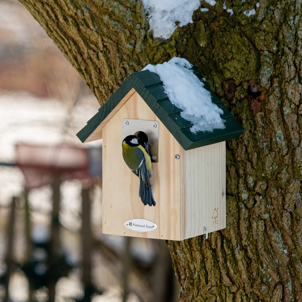 National Trust Vail Larch 32mm Nest Box