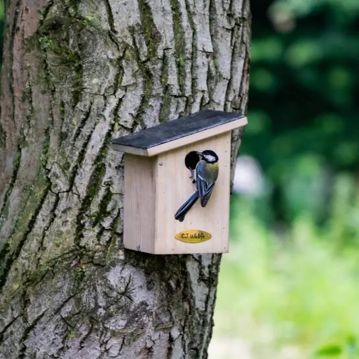 Montana 32mm Nest Box