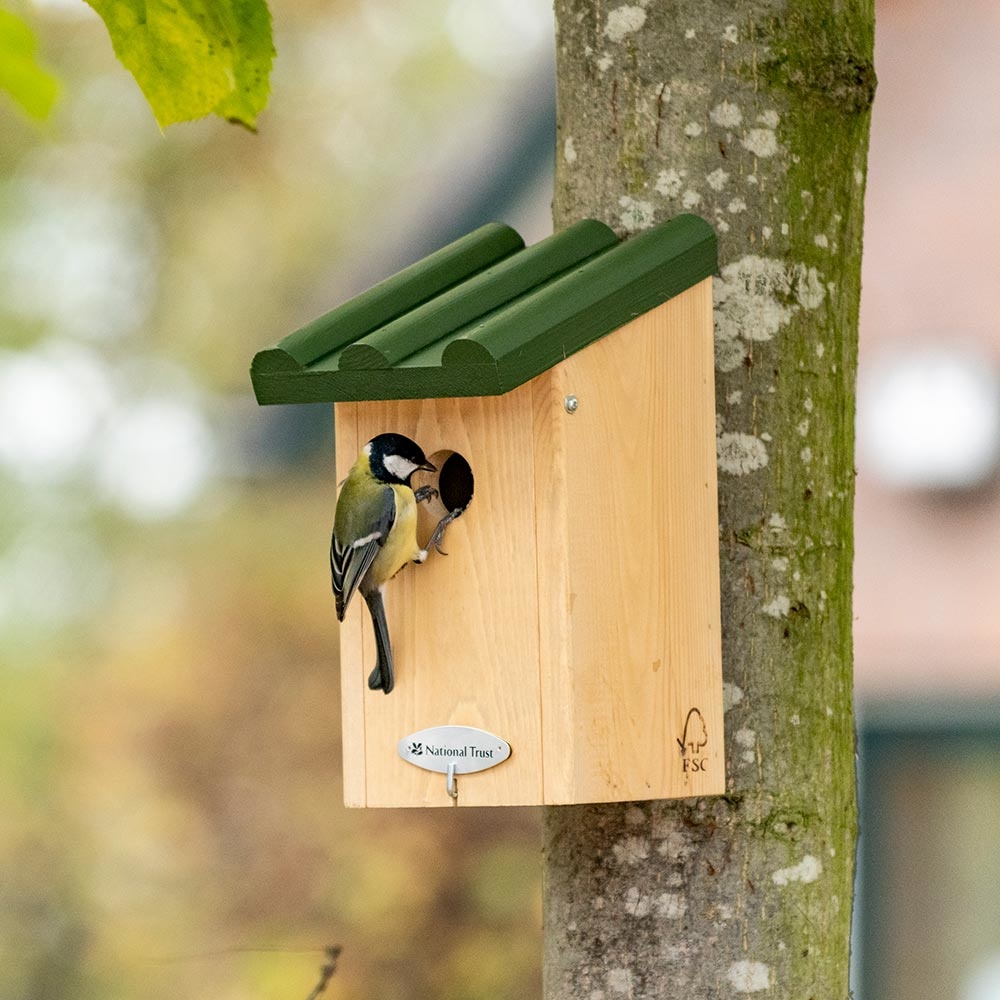 National Trust Great Tit Nest Box 32mm Gift Set