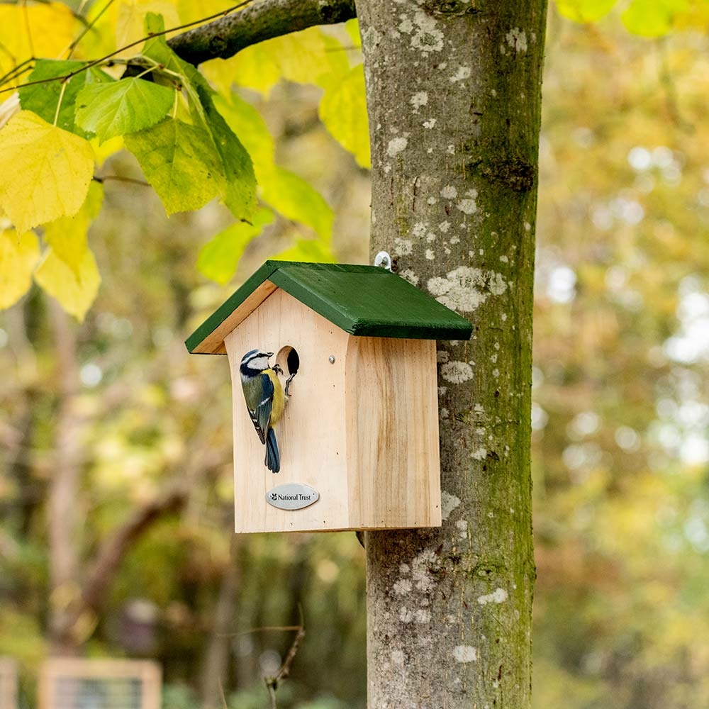 National Trust Blue Tit Nest Box 28mm Gift Set