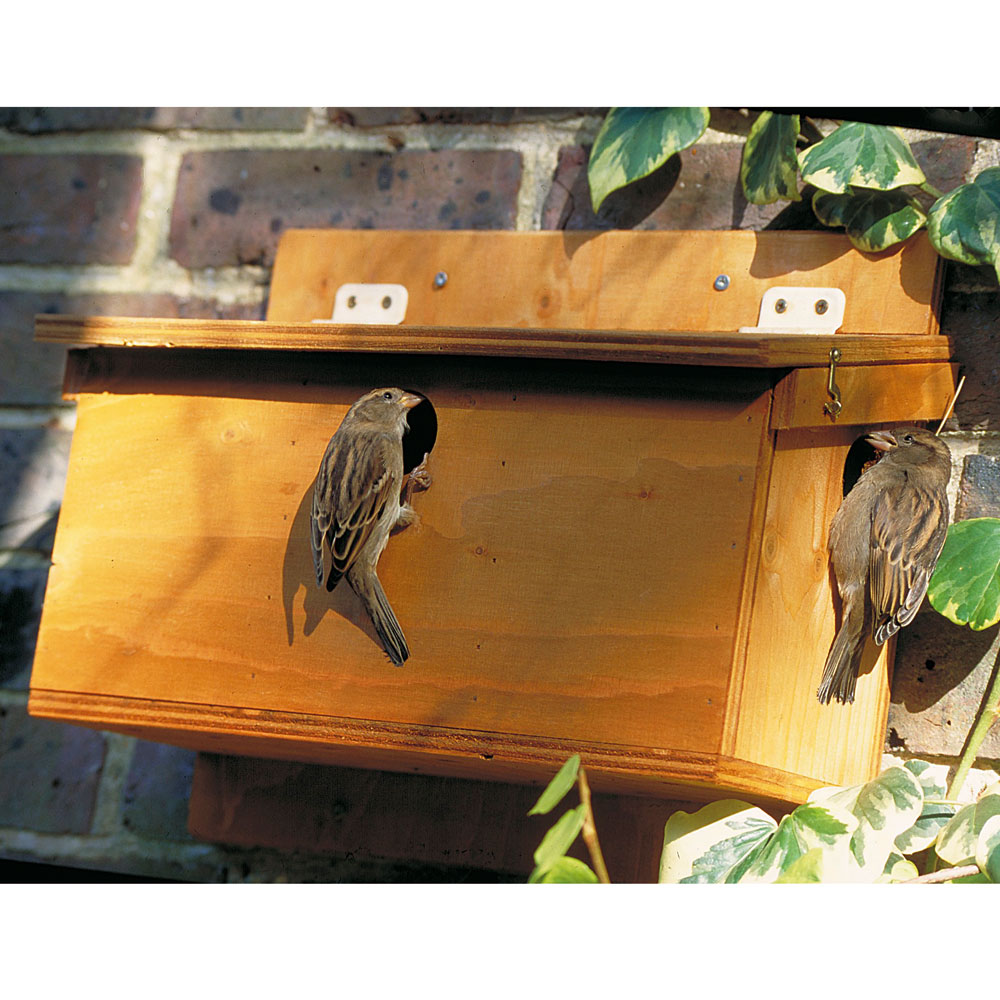 Plywood House Sparrow Terrace Nest Box