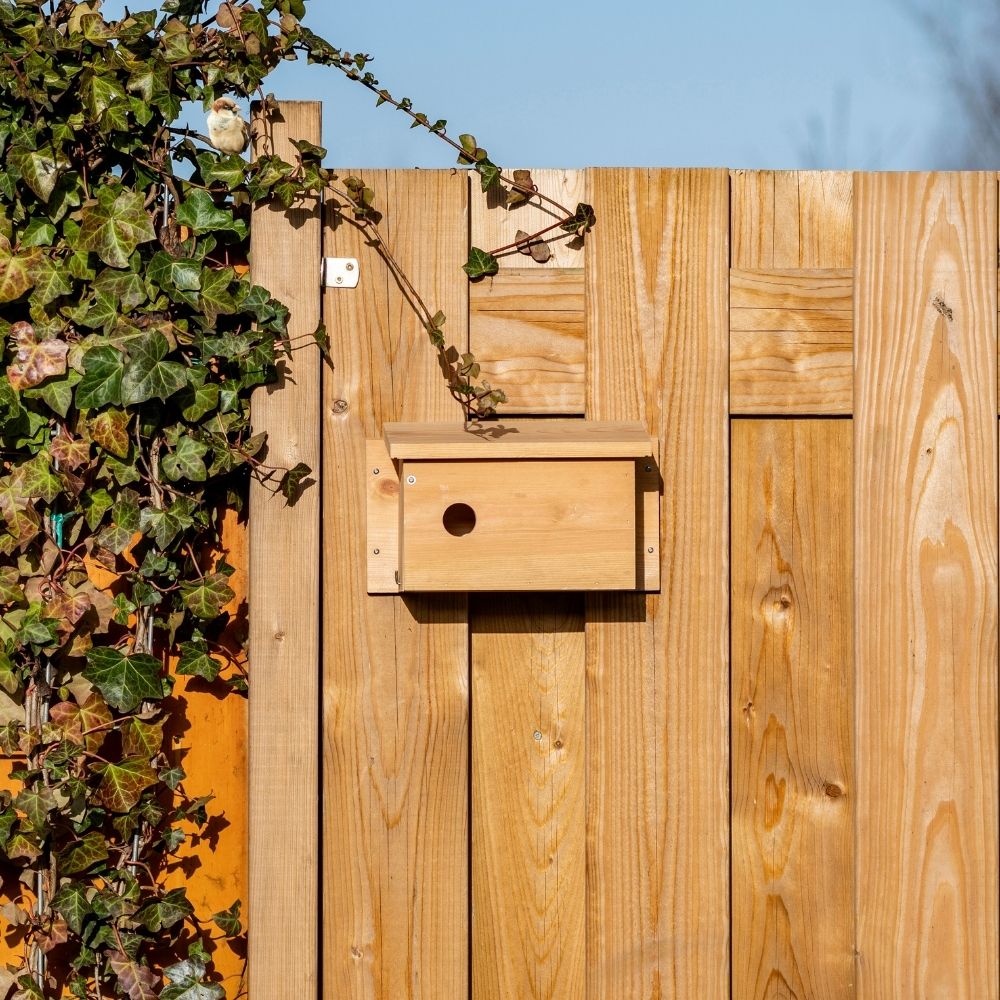 Multi Nest Box for House Sparrows 34mm