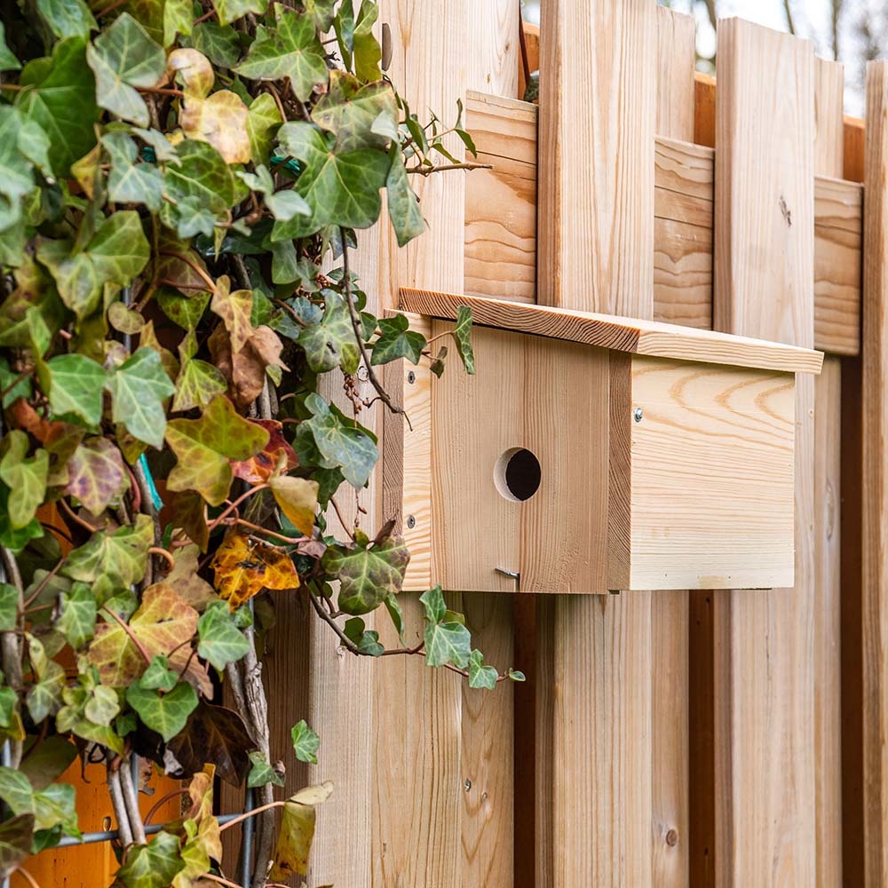 Multi Nest Box for House Sparrows 34mm