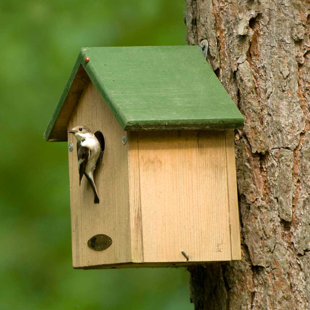 Malta 34mm Nest Box