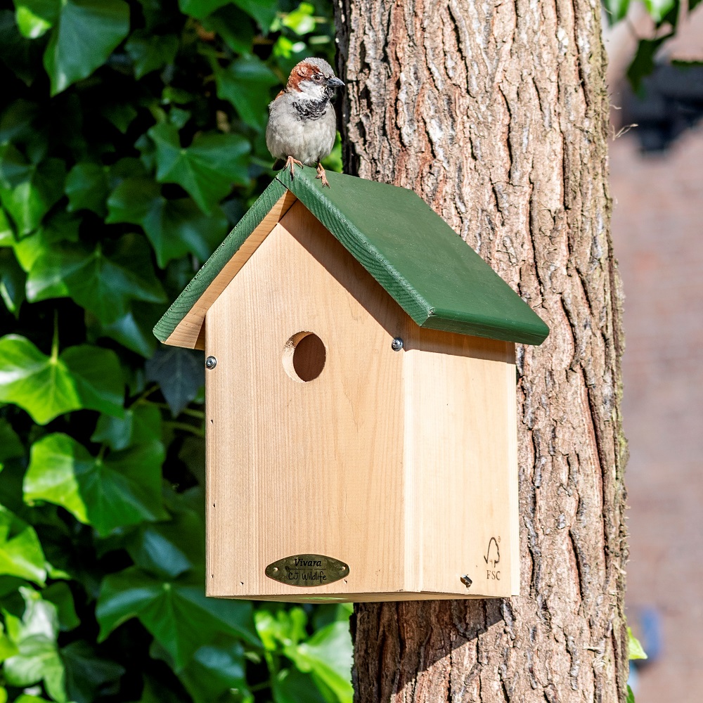 Malta 34mm Nest Box