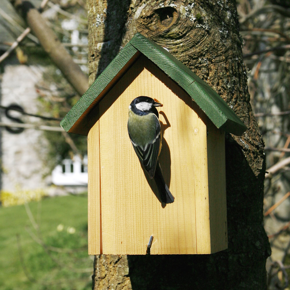 Malta 34mm Nest Box