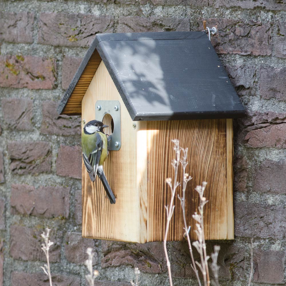 El Paso 34mm Nest Box