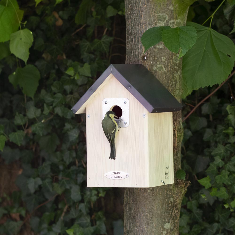 Anchorage 34mm Nest Box