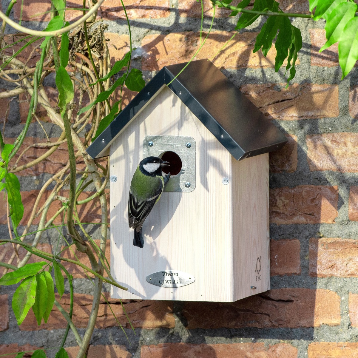 Anchorage 34mm Nest Box