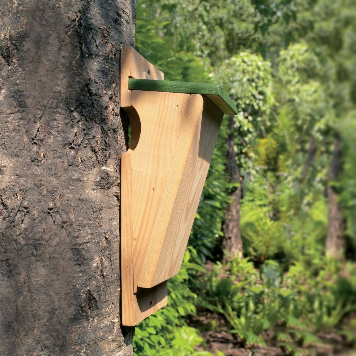 Treecreeper Nest Box