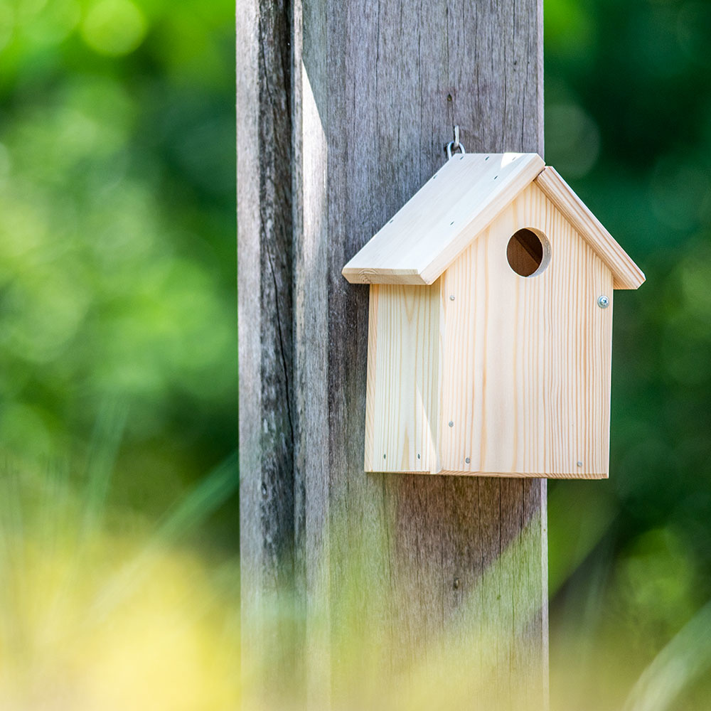 Build-Your-Own Nils 35mm Nest Box