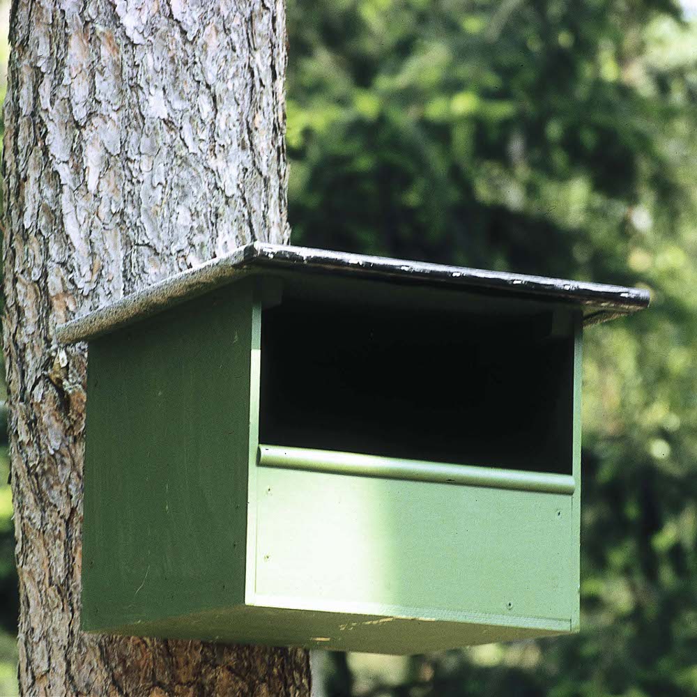 Kestrel Nest Box