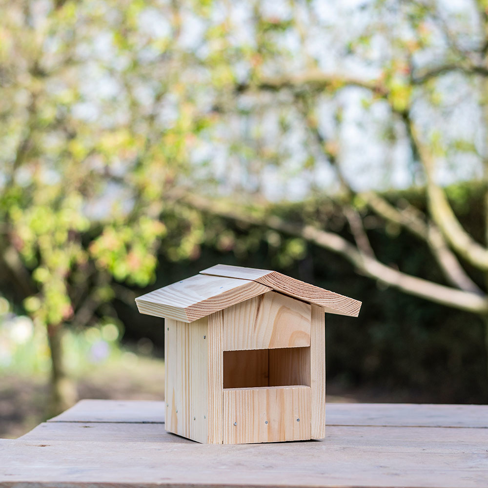 Kids Build-Your-Own Nell Nest Box Kit