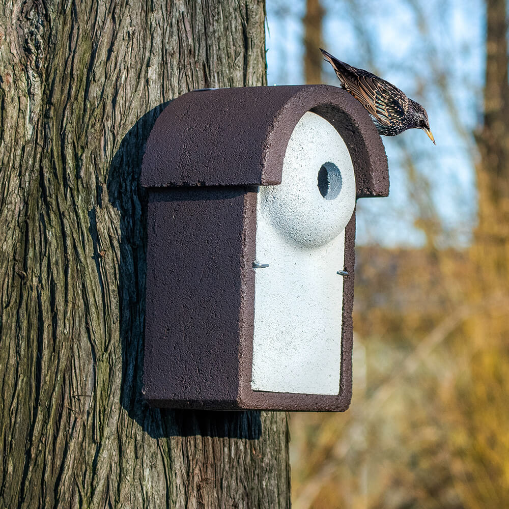 WoodStone® Starling Nest Box