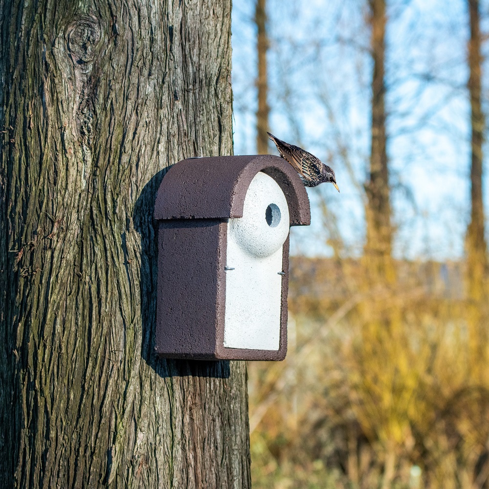 WoodStone® Starling Nest Box