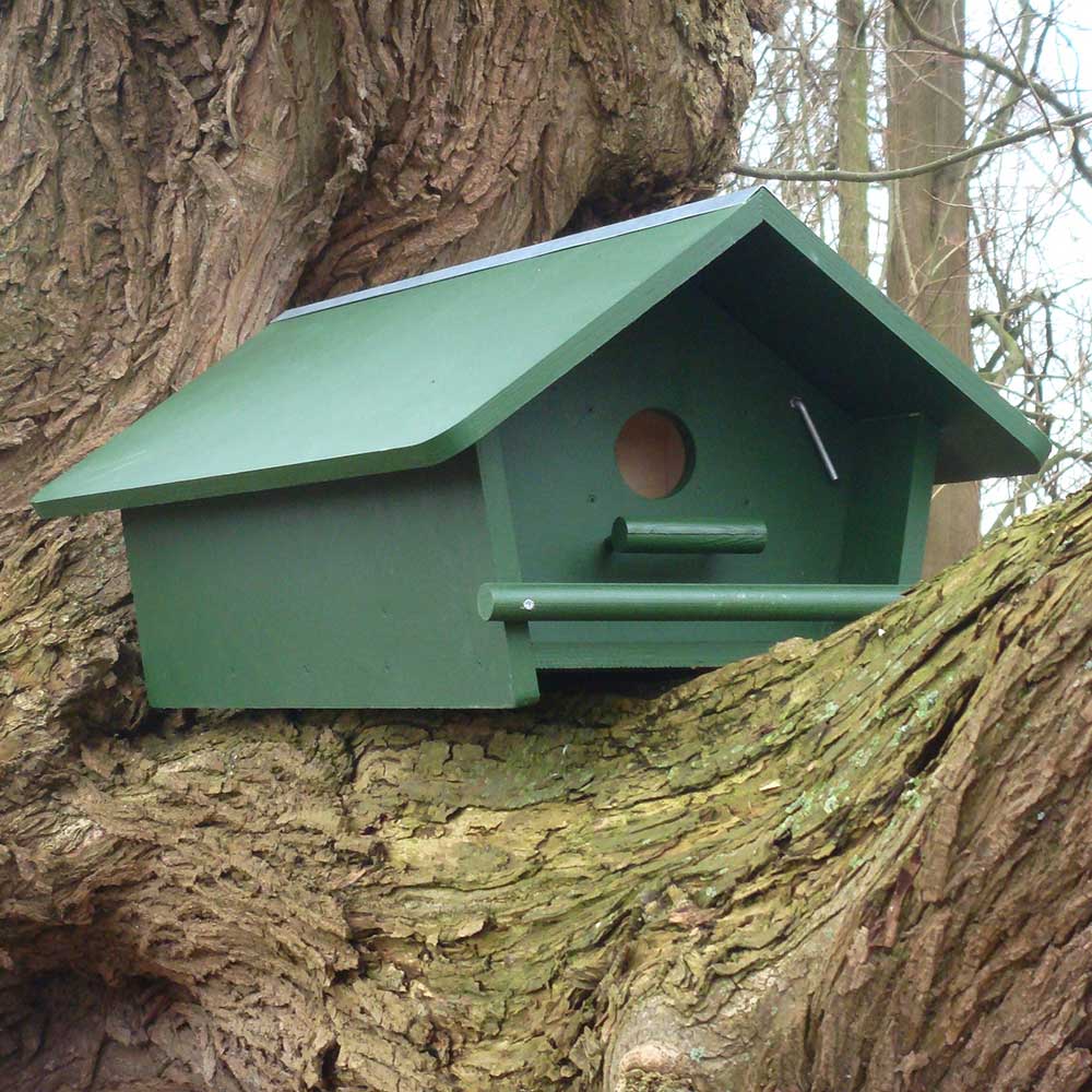 Little Owl Apex Nest Box 