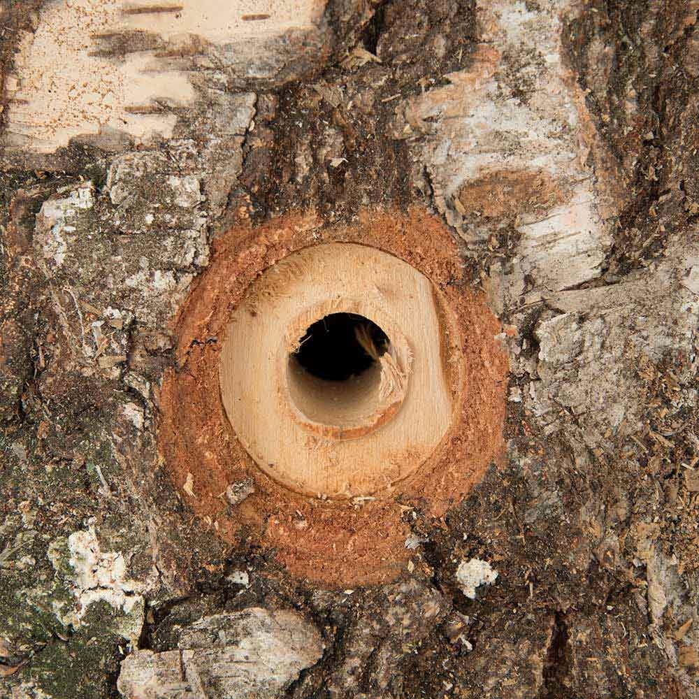 Malmo Woodpecker Nest Box