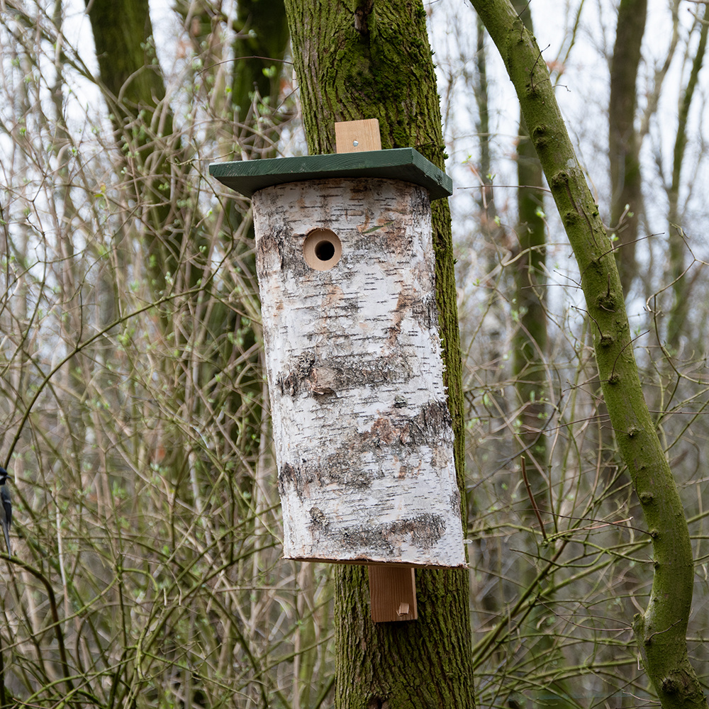 Malmo Woodpecker Nest Box