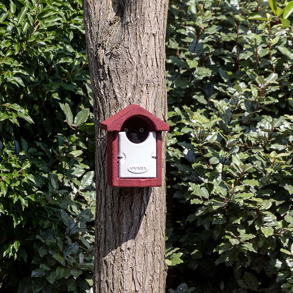 Nichoir ouvert Woodstone Barcelona - Rouge