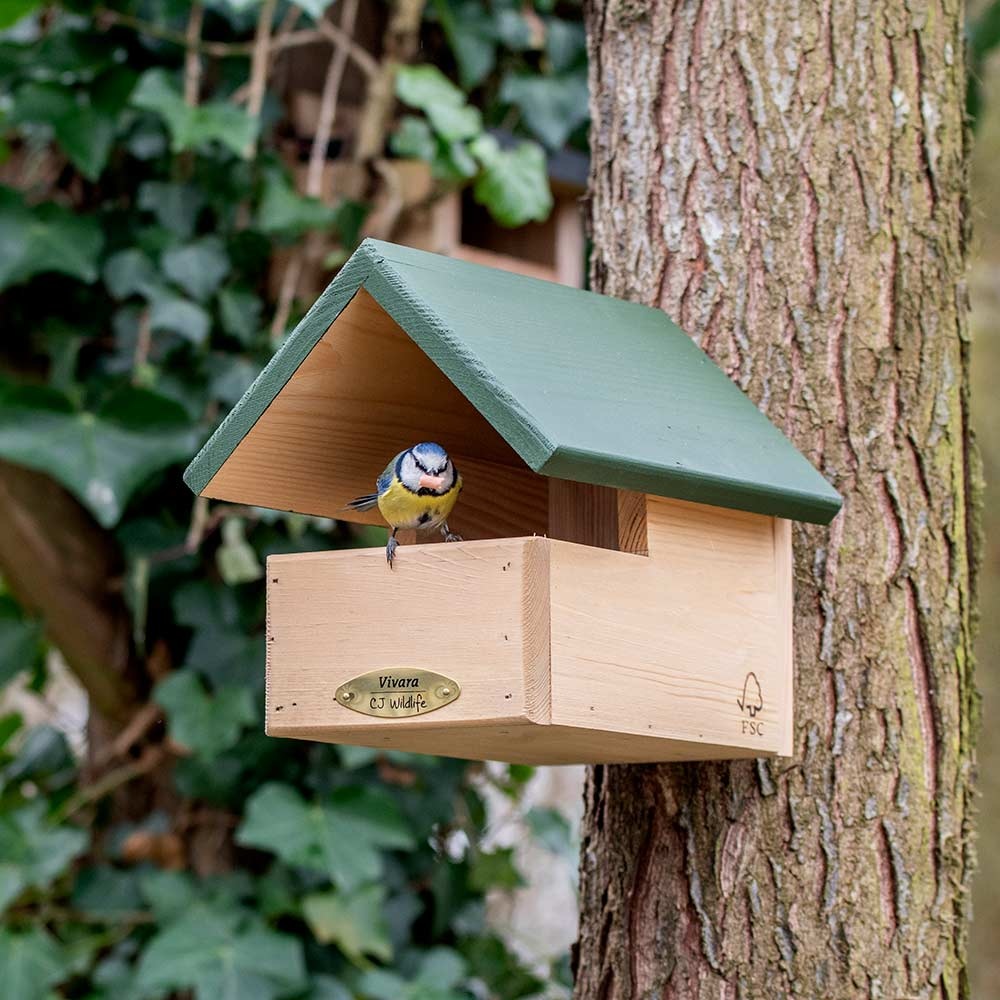 Blackbird Open Nest Box