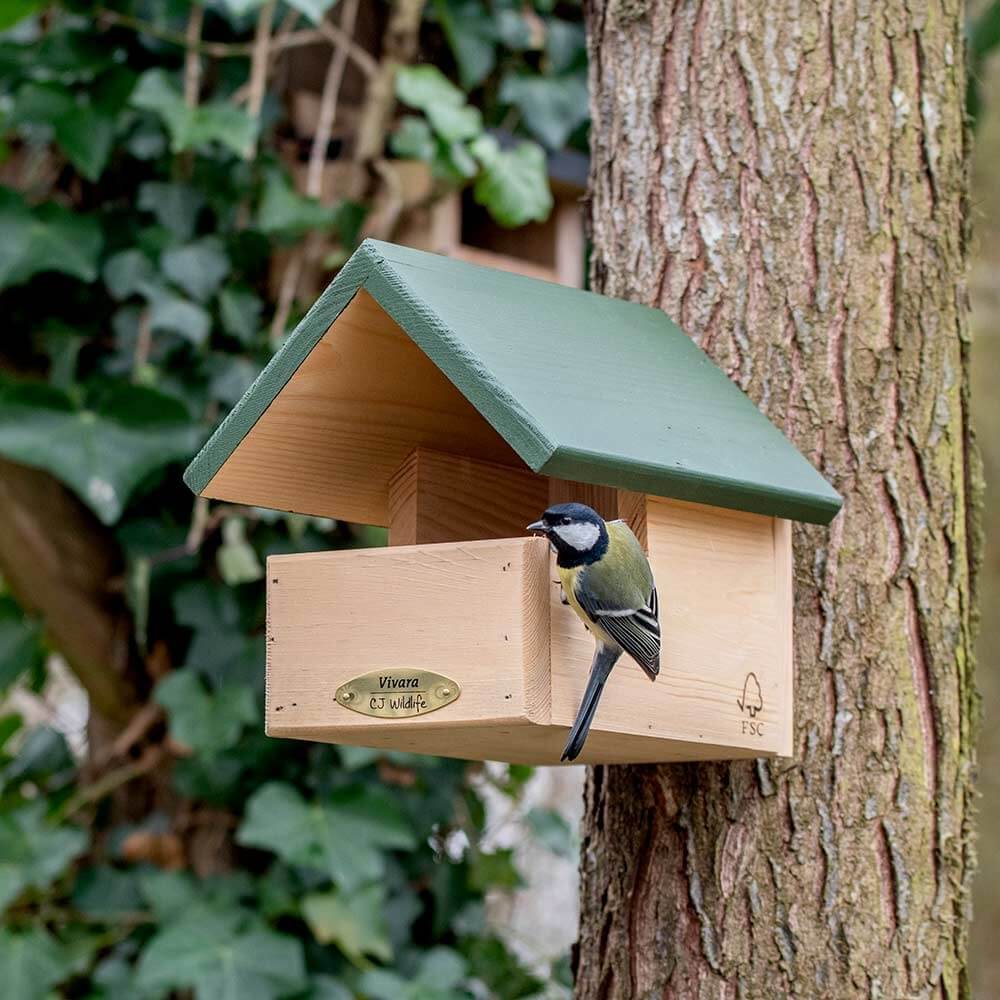 Blackbird Open Nest Box