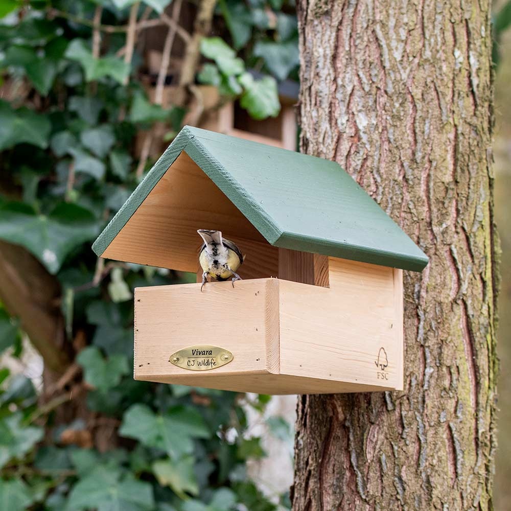 Blackbird Open Nest Box