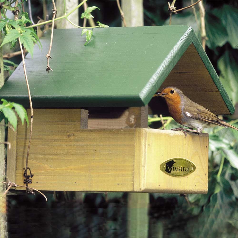 Blackbird Open Nest Box