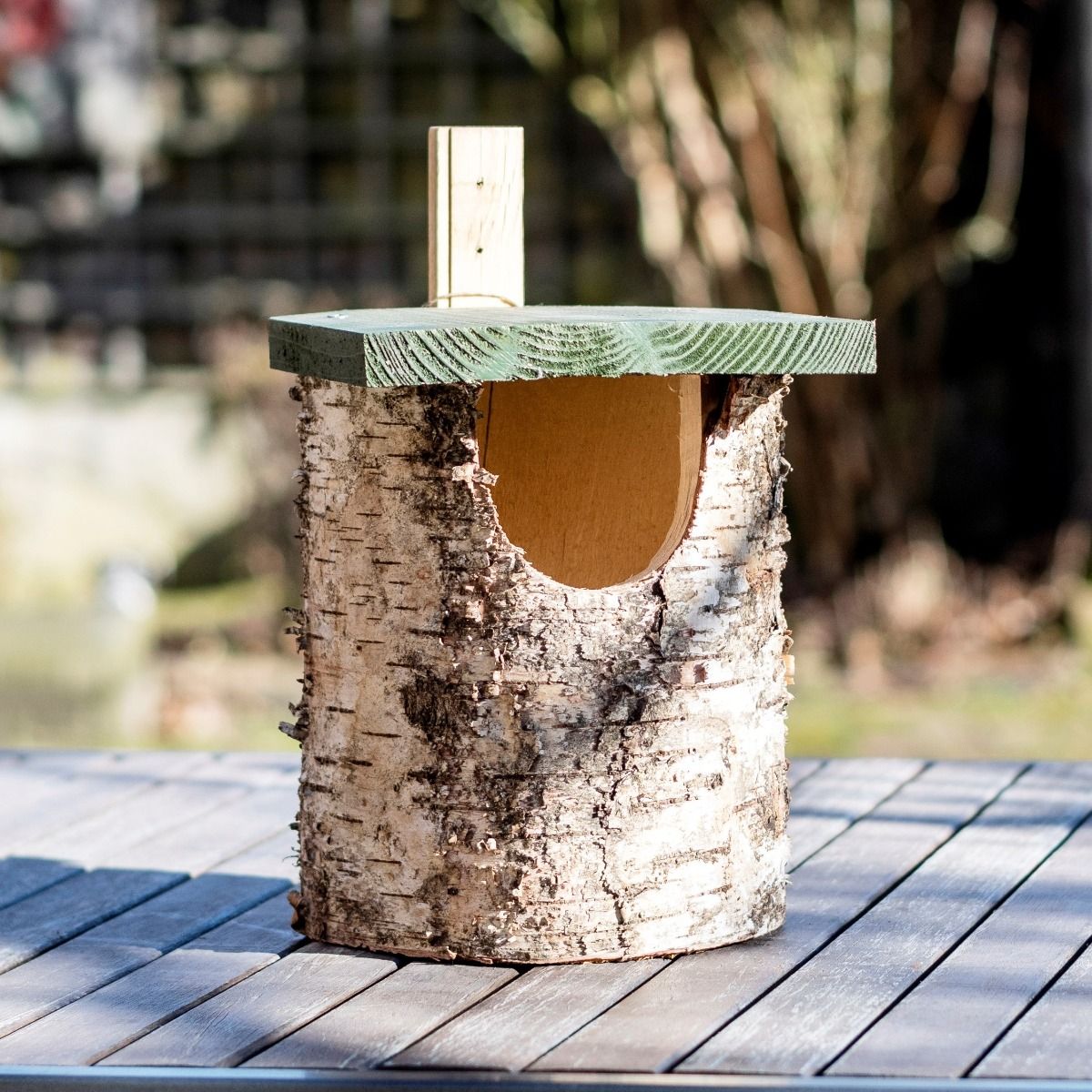 National Trust Birch Open Nest Box 